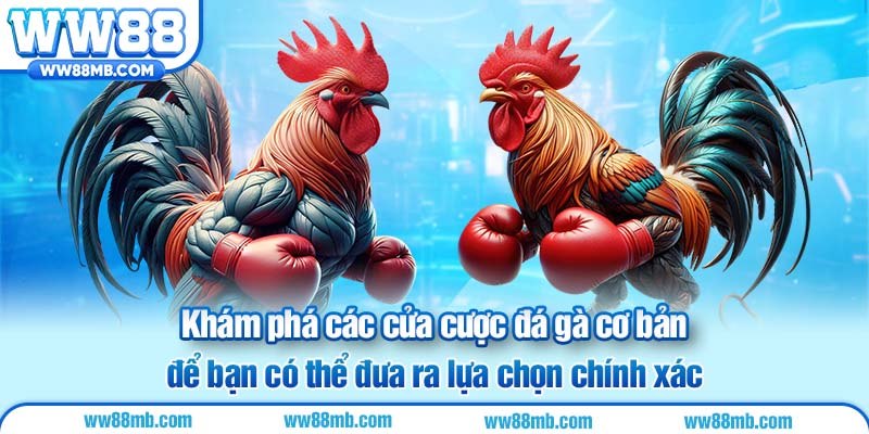 Khám phá các cửa cược đá gà cơ bản để bạn có thể đưa ra lựa chọn chính xác